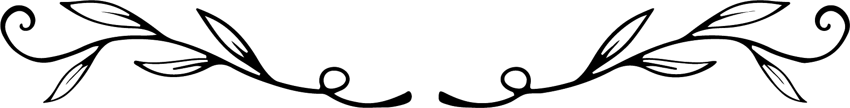 Wedding Diaries Logo